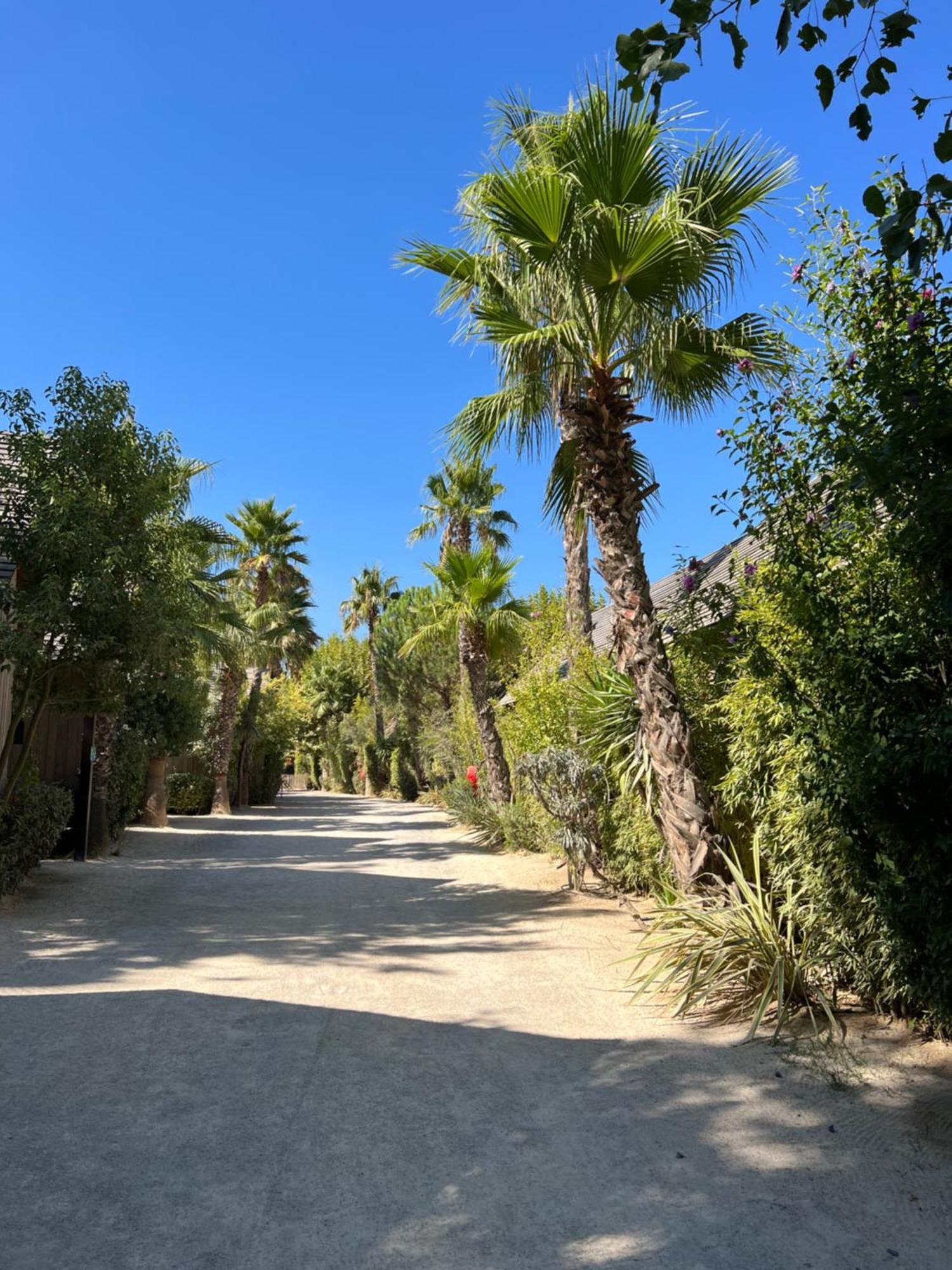 Ferienwohnung Le Refuge Du Littoral N3 Grimaud Exterior foto